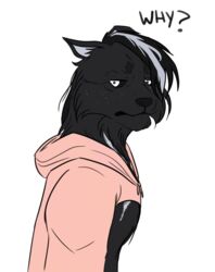  absurd_res clothing crow5202 drawyourfursona felid fur hi_res hoodie mammal meme meme_clothing pink_clothing pink_hoodie pink_topwear simple_background solo topwear twitter_hoodie white_eyes 