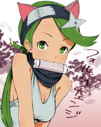  alternate_costume alternate_hairstyle animal_ears bare_shoulders blush breasts cat_ears cleavage commentary_request female forehead_protector gradient_background green_eyes green_hair headband kemonomimi_mode long_hair looking_at_viewer low_ponytail mallow_(pokemon) medium_breasts mouth_hold ninchan oerba_yun_fang pokemon pokemon_sm scroll shuriken_hair_ornament smile solo sweat tank_top tareme translation_request upper_body 