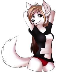  anthro brown_eyes brown_hair camel_toe canid canine clothed clothing female fox fur hair long_hair mammal open_mouth panties pose shirt simple_background solo taykoe taykoe_(character) topwear underwear white_body white_fur 