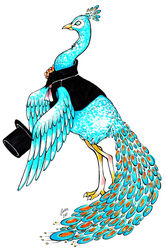  2011 avian beak bird blue_body blue_eyes blue_feathers bottomless clothed clothing feathered_wings feathers feet feral galliform ginka hat headgear headwear male peacock_feather peafowl phasianid simple_background solo talons toes top_hat topwear vest white_background wings 