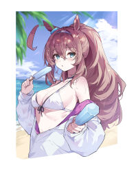  absurdres ahoge animal_ears beach bikini blue_eyes blue_sky breasts brown_hair cloud commentary_request day female food grey_hairband hair_between_eyes hairband highres horse_ears horse_girl jacket long_hair long_sleeves looking_at_viewer medium_breasts mihono_bourbon_(umamusume) mola_mola ocean outdoors ponytail popsicle sky solo swimsuit umamusume white_bikini white_jacket 