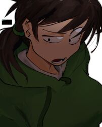  antenna_hair black_eyes breasts brown_hair close-up commentary drawstring eddsworld ell_(eddsworld) english_commentary female green_hoodie highres hood hood_down hoodie hornboner large_breasts light_blush long_hair looking_at_viewer looking_down low_ponytail open_mouth ponytail shirt simple_background solo swept_bangs twitter uneven_eyes upper_body white_shirt 
