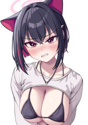  alternate_costume angry animal_ears bikini black_bikini black_hair blue_archive blush breasts cat_ears cleavage clenched_teeth collarbone commentary dated_commentary extra_ears female furrowed_brow hair_behind_ear hair_ornament hairclip halo highres jewelry kazusa_(blue_archive) large_breasts looking_at_viewer medium_hair metaljelly multicolored_hair necklace pink_eyes pink_hair pink_halo shrug_(clothing) simple_background solo streaked_hair string_bikini swimsuit teeth upper_body white_background white_shrug 