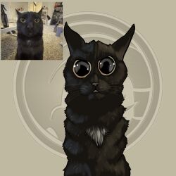  1:1 absurd_res ambiguous_gender artist_logo big_eyes black_body black_eyes black_fur black_nose domestic_cat dragonfetus felid feline felis feral fur glistening glistening_eyes hi_res logo looking_at_viewer mammal meme reflection_in_eyes solo spots 