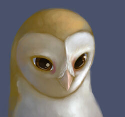  ambiguous_gender avian barn_owl beak big_pupils bird brown_eyes digital_media_(artwork) dilated_pupils facial_tuft feather_tuft feathers feral headshot_portrait icon multicolored_body multicolored_feathers nose_tuft nyar owl portrait pupils purple_background simple_background solo tuft two_tone_body two_tone_feathers tyto tytonid white_body white_feathers yellow_body yellow_feathers 