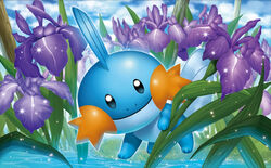  black_eyes blue_sky closed_mouth cloud cloudy_sky creature flower full_body gen_3_pokemon grass looking_at_viewer mudkip no_humans official_art outdoors pokemon pokemon_(creature) pokemon_trading_card_game sky smile solo standing tsutsui_misa water 