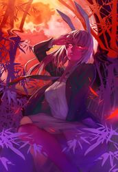  animal_ears bamboo bamboo_forest blazer commentary female forest glowing hidebo highres jacket long_hair long_sleeves looking_at_viewer nature necktie open_clothes open_jacket purple_hair rabbit_ears reisen_udongein_inaba shirt skirt solo spell touhou 