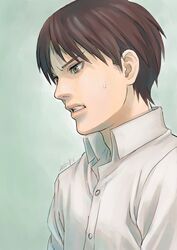  1boy brown_eyes brown_hair jean_kirchstein shingeki_no_kyojin short_hair simple_background solo wig 