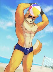  1boy abs animal_ears armpits arms_up bara beach beach_volleyball black_gloves blue_male_swimwear blue_sky blush cooper_krager english_commentary fingerless_gloves furry furry_male gloves goromokaa highres looking_at_viewer male_focus male_swimwear multiple_scars muscular muscular_male navel nipples ocean open_mouth pectorals remember_the_flowers scar scar_across_eye scar_on_arm scar_on_face scar_on_nose sky tail topless_male volleyball_net wolf_boy wolf_ears wolf_tail 