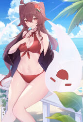  absurdres ahoge bare_shoulders beach bikini blue_sky boo_tao_(genshin_impact) breasts brown_hair cleavage cloud cowboy_shot crossed_bangs female flower flower-shaped_pupils food food_in_mouth front-tie_bikini_top front-tie_top genshin_impact ghost hair_between_eyes hair_flower hair_ornament highres horizon hu_tao_(genshin_impact) light_rays long_hair looking_at_viewer medium_breasts navel off_shoulder on_railing outdoors palm_leaf pisuke_(user_kcmh2774) plant popsicle popsicle_in_mouth railing red_bikini red_eyes sitting sky smile swimsuit symbol-shaped_pupils twintails 