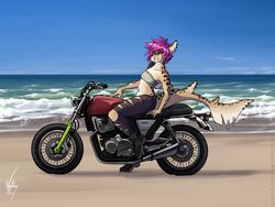  5_fingers anthro april_(wolfirry) avoid_posting beach breasts clothed clothing day detailed_background female fin fin_piercing fingers fish furgonomics furry-specific_piercing ground_shark hair leopard_shark marine midriff motorcycle navel non-mammal_breasts outside piercing purple_hair sand seaside shark sitting sky smile solo tattoo triakid vehicle water wolfirry yellow_eyes 