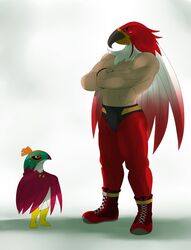  abs ambiguous_gender angry anthro athletic avian beak biceps bird black_eyes boots bottomwear bulge claws clothed clothing crossed_arms crossover digital_media_(artwork) duo fatal_fury feathered_wings feathers footwear frown fur garou:_mark_of_the_wolves generation_6_pokemon glistening green_eyes hawlucha hi_res human king_of_fighters looking_down looking_up male mammal manly mask muscular navel nintendo nude orange_body orange_fur pants pecs pokemon pokemon_(species) red_body red_fur shadow shoes simple_background size_difference sssonic2 standing the_griffon_mask tizoc topless white_background white_body white_fur wings wrestler yellow_eyes 