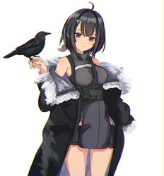  absurdres ahoge arknights bare_shoulders between_breasts binware bird black_hair black_jacket blue_eyes breasts closed_mouth female fur-trimmed_jacket fur_trim hair_ornament hairclip highres jacket la_pluma_(arknights) light_blush off_shoulder short_hair shorts solo strap_between_breasts 