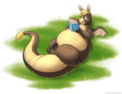  aidenmonster asinus book donkey dragon equid equine forebucks forepawz grass mammal mythological_creature mythological_scalie mythology overweight plant plushie reading scalie solo tail 