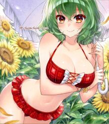  belt belt_skirt bikini bikini_skirt bracelet breasts chacham cleavage collarbone female field flower flower_field frilled_bikini frills green_hair jewelry kazami_yuuka looking_at_viewer medium_breasts midriff navel plaid_bikini plaid_clothes plaid_vest red_bikini red_eyes short_hair smile solo sunflower sunflower_field swimsuit thick_thighs thighs touhou umbrella vest yellow_nails 