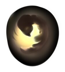  ambiguous_form avian bird ducktor_cid_(artist) egg embryo low_res simple_background solo thumbnail white_background 