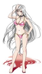  akashiya_moka artist_request barefoot bikini breasts chains cleavage closed_mouth collar female full_body grey_hair highres inner_moka large_breasts long_hair navel official_art pink_bikini red_eyes rosario+vampire shadow slit_pupils solo standing swimsuit transparent_background very_long_hair 