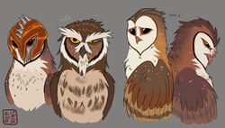  armor avian barn_owl bird black_eyes brother_(lore) brown_body brown_feathers ezylryb feathers feral grey_background group guardians_of_ga&#039;hoole headgear headgear_only helmet helmet_only hi_res kabuki-aku kludd male metal_beak owl screech_owl sibling_(lore) simple_background soren_(gogh) true_owl tyto tytonid whiskered_screech_owl white_body white_feathers yellow_eyes 