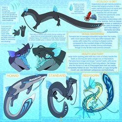  1:1 absurd_res biology cephalopod coleoid decapodiform deepdrake digitigrade dragon drake_(disambiguation) english_text fangs feral fish gills group hi_res jigs marine model_sheet mollusk mouth_shot mythological_creature mythological_scalie mythology nomad_deepdrake open_mouth open_species pawpads paws quadruped reefborn_deepdrake sabertooth_(anatomy) scalie species_description species_sheet tail teeth text 