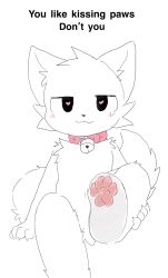  anthro bell bell_collar black_eyes blush blush_lines boy_kisser_(meme) chano cheek_tuft collar collar_only domestic_cat ears_up facial_tuft felid feline felis fluffy fluffy_tail fur heart_eyes heart_symbol hi_res holding_leg holding_leg_up male mammal meme nude pawpads paws pink_collar pink_pawpads raised_leg silly_cat_(mauzymice) sitting solo tail tuft white_body white_fur 