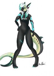  anthro canid canine clothing female fish hi_res hybrid kaeaskavi mammal marine shark solo swimwear wetsuit 