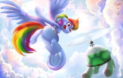  2017 ambiguous_gender cloud cutie_mark duo equid female feral flying forced_perspective friendship_is_magic hair hasbro hi_res mammal multicolored_hair multicolored_tail my_little_pony outside phuocthiencreation rainbow_dash_(mlp) rainbow_hair rainbow_tail reptile scalie sky tail tank_(mlp) tortoise turtle 