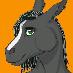  1:1 2014 anthro black_body black_fur black_hair digital_media_(artwork) dirtybird ear_piercing equid equine facial_piercing fur green_eyes hair headshot_portrait horse lip_piercing looking_at_viewer low_res luckystallion13 male mammal multicolored_body multicolored_fur orange_background piercing portrait simple_background snakebite_piercing solo two_tone_body two_tone_fur white_body white_fur 