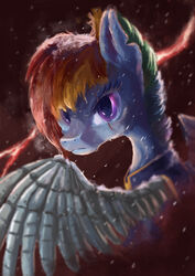  2017 cybernetics equid equine female friendship_is_magic hasbro hi_res machine mammal metallic_body metallic_wings mismatched_wings my_little_pony mythological_creature mythological_equine mythology pegasus plainoasis prosthetic prosthetic_wings purple_eyes rainbow_dash_(mlp) scar snow snowing solo water wings 