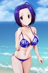  beach bikini blue_hair breasts cleavage commentary_request female gravure_swimsuit_(idolmaster) highres idolmaster idolmaster_(classic) large_breasts miura_azusa muhi11234 outdoors purple_bikini red_eyes short_hair solo swimsuit 