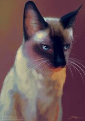  2019 ambiguous_feral ambiguous_gender black_ears black_nose blaze_(marking) blue_eyes caymartworks digital_media_(artwork) digital_painting_(artwork) domestic_cat facial_markings felid feline felis feral front_view fur gradient_background head_markings hi_res icon inner_ear_fluff mammal markings portrait simple_background sitting solo tan_body tan_fur text three-quarter_portrait tuft url whiskers 