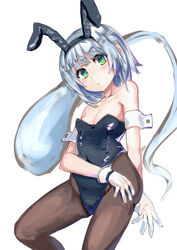  absurdres alternate_costume bare_shoulders black_leotard black_pantyhose breasts closed_mouth collarbone feet_out_of_frame female gloves green_eyes grey_hair head_tilt highres hitodama isemori konpaku_youmu konpaku_youmu_(ghost) leotard looking_at_viewer medium_breasts medium_hair pantyhose playboy_bunny simple_background solo touhou white_background white_gloves 