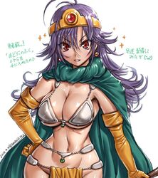  amania_orz breasts cape circlet cleavage dancer&#039;s_costume_(dq) dragon_quest dragon_quest_iii dragon_quest_iv elbow_gloves female gloves large_breasts long_hair looking_at_viewer navel purple_hair red_eyes sage_(dq3) simple_background smile solo white_background 