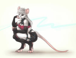  anthro armwear bottomwear bra breasts claws cleavage clothed clothing crouching elbow_gloves female fingerless_gloves fur gloves hair handwear looking_at_viewer mammal mouse murid murine rodent s00t shorts simple_background solo underwear whiskers white_background white_body white_fur white_hair 