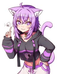  :3 ahoge animal_ear_fluff animal_ears belt_collar black_hoodie blush cat_ears cat_girl cat_tail closed_mouth collar cowboy_shot crossed_bangs female food hair_between_eyes hand_on_own_hip hololive hood hood_down hoodie long_sleeves looking_at_viewer medium_hair midriff navel nekomata_okayu nekomata_okayu_(1st_costume) onigiri purple_eyes purple_hair shirt simple_background smile solo star_(symbol) star_in_eye symbol_in_eye tail tail_raised virtual_youtuber white_background white_shirt wool_(miwol) 