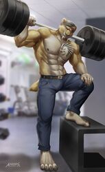  abs amon-sydonai anthro arm_tuft athletic barbell beard belt biceps blurred_background body_hair body_tuft bottomwear brown_hair chest_tuft claws clothed clothing denim denim_bottomwear denim_clothing ear_piercing ears_through_headwear exercise extinct facial_hair fangs feet felid foot_tuft fur gym hair hat head_tuft headgear headwear hi_res holding_object inside jeans jewelry lifting_object male mammal muscular muscular_anthro muscular_male necklace nipples pantherine pants pecs piercing prehistoric_species purple_eyes saber-toothed_tiger serratus sharp_teeth solo standing tail tail_tuft tan_body tan_fur tattoo teeth tiger topless triceps tuft watermark workout 