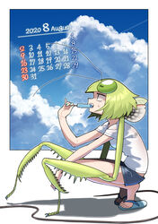  2020 absurdres arthropod_girl august bra_visible_through_clothes calendar_(medium) commentary_request eating evolvingmonkey female food green_hair highres ice_cream mantis_akiyama original parasite popsicle praying_mantis see-through shirt short_hair short_shorts shorts sky slippers solo squatting sweat t-shirt worm 