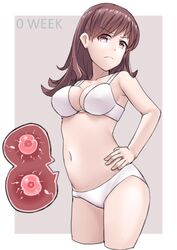  absurdres angry border bra breasts brown_eyes brown_hair commentary_request cropped_legs english_commentary female fertilization frown garylin hand_on_own_hip highres impregnation kantai_collection large_breasts long_hair looking_at_viewer mixed-language_commentary ooi_(kancolle) ovum panties purple_background solo sperm_cell underwear underwear_only white_border white_bra white_panties 