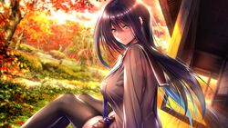  amakano_2 autumn game_cg himeyama_rei long_hair piromizu school_uniform tree 