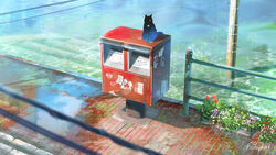  black_cat blurry blurry_foreground feline hachiya_shohei highres original outdoors plant postbox_(outgoing_mail) potted_plant power_lines puddle scenery signature stairs water 