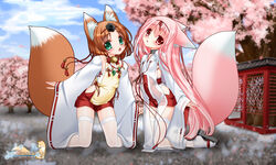  2girls animal_ear_fluff animal_ears apron bead_necklace beads bell blush breasts brown_hair cherry_blossoms chihaya_(clothing) choker detached_sleeves fox_ears fox_girl fox_tail green_eyes hakama hakama_skirt highres japanese_clothes jewelry jingle_bell kneeling long_hair long_sleeves looking_at_viewer magatama miko momoyuki_(snow_fox) multiple_girls nakajima_konta neck_bell necklace okobo omikuji pink_hair red_eyes red_hakama ribbon-trimmed_sleeves ribbon_trim sandals see-through see-through_legwear skirt small_breasts snow_fox tabi tail thighhighs variant_set web_address white_thighhighs yukinagi_(snow_fox) 