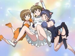  3girls animal_ears back black_hair blue_eyes braid breasts brown_hair choker dress grey_eyes hairband kyoukai_no_rinne long_hair mamiya_sakura miho_(kyoukai_no_rinne) momoi_rika_(kyoukai_no_rinne) multiple_girls open_mouth panties shoes short_hair smile thighhighs wings 