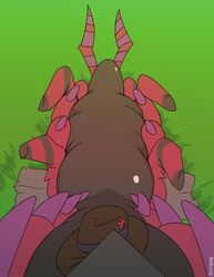  absurd_res ambiguous_gender clothing dotrook featureless_crotch feral feral_pov first_person_view generation_5_pokemon grass hat headgear headwear hi_res implied_transformation lying nintendo on_back outside plant pokemon pokemon_(species) scolipede solo 