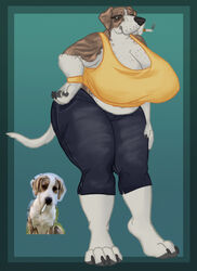  abstract_background anthro big_breasts bottomwear breasts brown_eyes canid canine canis capris cigarette cigarette_in_mouth cigarette_smoke claws clothing deermary denim denim_bottomwear denim_clothing domestic_dog elderly_female female handpaw hi_res jeans mammal mature_female object_in_mouth old overweight pants pawpads paws photo reference_image shirt slightly_chubby slightly_chubby_female smoke smoking solo tank_top thick_thighs top_heavy topwear yellow_clothing 