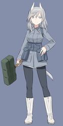  animal_ears anti-tank_grenade aurora_e._juutilainen bad_source black_pantyhose blue_background blue_theme boots brave_witches bundled_charge drum_magazine explosive female grenade grey_eyes grey_hair gun hand_on_own_hip magazine_(weapon) military military_uniform pantyhose shimada_fumikane short_hair smile solo standing stick_grenade strike_witches:_aurora_no_majo submachine_gun suomi_kp/-31 tail uniform weapon wolf_ears wolf_girl wolf_tail world_witches_series 