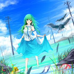  absurdres bird blue_skirt blue_sky blush cloud cloudy_sky commentary_request damaged day detached_sleeves feathers female frog_hair_ornament grass green_eyes green_hair hair_ornament hair_tubes highres horizon kochiya_sanae long_skirt metalwasabi open_mouth outdoors photoshop_(medium) power_lines sign skirt skirt_hold sky snake_hair_ornament touhou vest wading water wind 