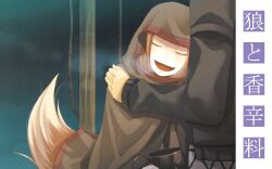  ayakura_juu craft_lawrence highres holo horo smile spice_and_wolf tail 