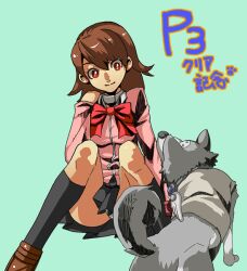  animal atlus bow brown_eyes brown_hair canine koromaru panties persona persona_3 school_uniform smile underwear yukari_takeba 