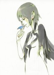  bird black_eyes black_hair breasts cleavage dress female female ico ico_(game) pointy_ears short_hair smile solo white_background yorda 