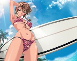  armpits bikini braid brown_hair cloud clouds female game_cg happoubi_jin highres kuouzumiaiginsusutakeizumonokamimeichoujin_mika resort_boin short_twintails sky solo surfboard swimsuit tan twin_braids twintails twintails 