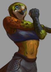  anthro avian beak bird blue_eyes bottomwear bra breasts clothed clothing duo exercise falcon falconid female fist hi_res hybrid kestrel kitara_(phazon-harbinger) looking_at_viewer navel pinguinolog pose sports_bra standing stretching stretching_arms underwear wide_eyed workout workout_clothing 